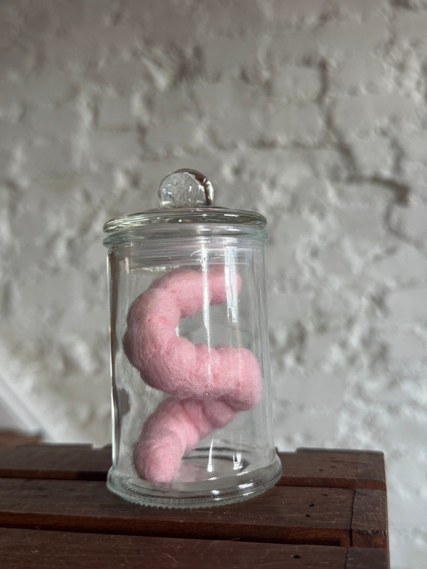 Needle Felted Worm in jar