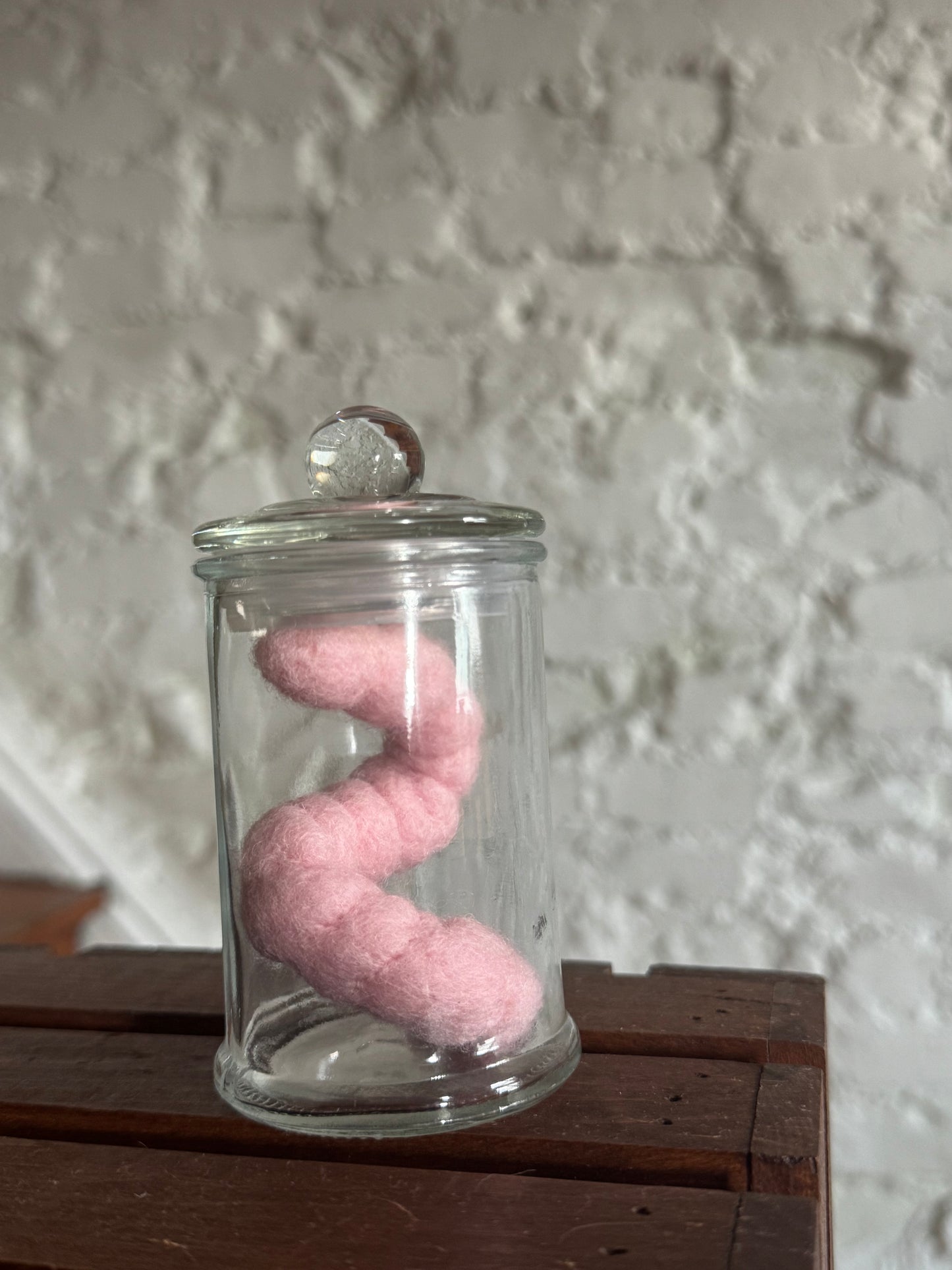 Needle Felted Worm in jar