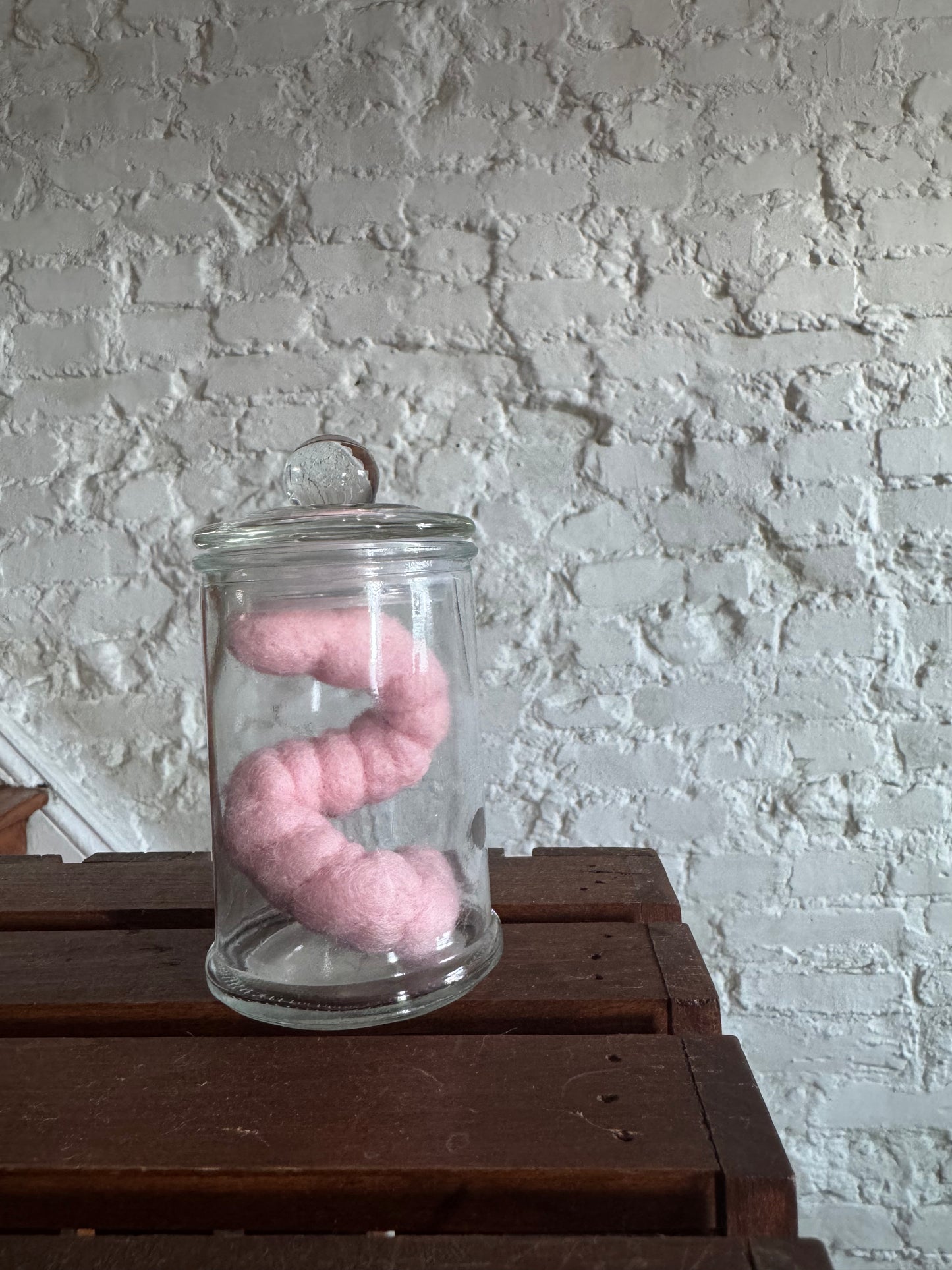 Needle Felted Worm in jar