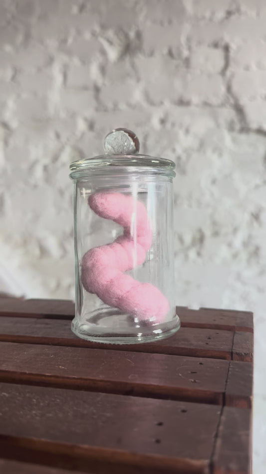 Needle Felted Worm in jar